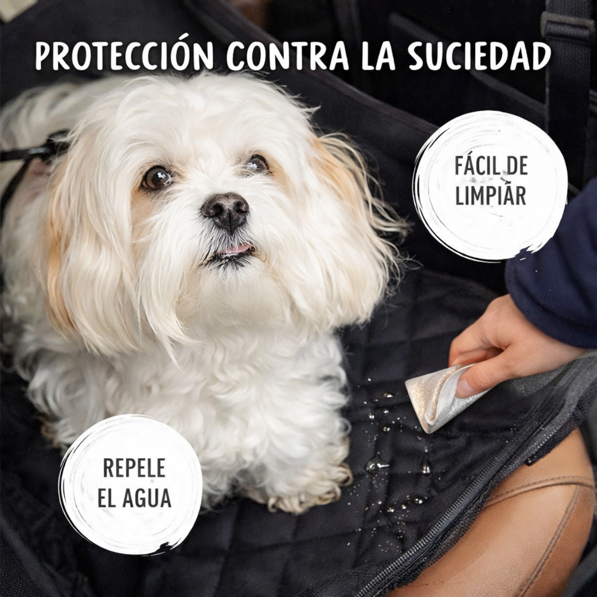 Silla de coche para perros 🐾