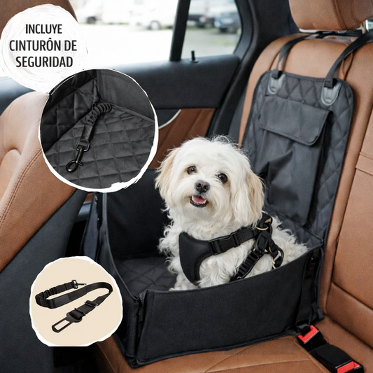 Silla de coche para perros 🐾